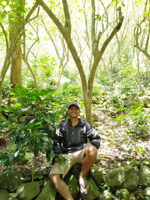 JELAJAH HUTAN KOPI