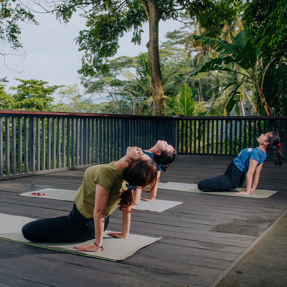 Wellness